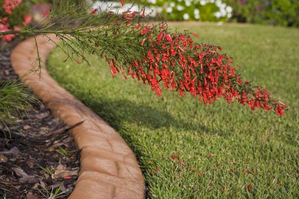 Brick Edging in Woodbridge