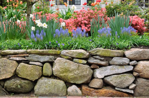 Stone Wall Hardscaping in Woodbridge