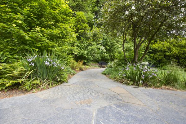 Stone Hardscape Service in Woodbridge